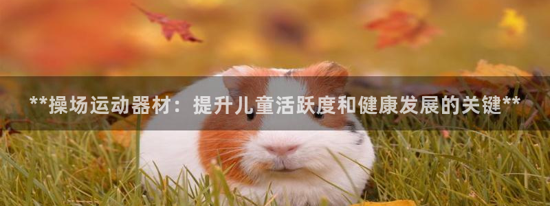 意昂体育3平台注册流程视频：**操场运动器材：提升儿