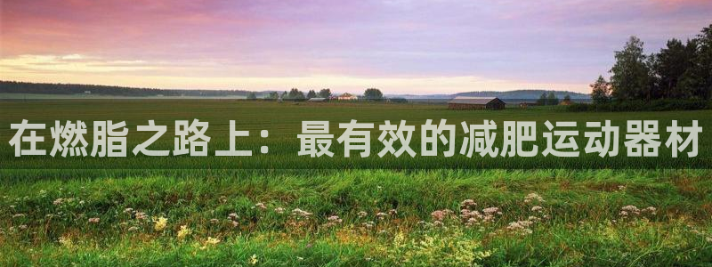 意昂体育3招商电话地址查询：在燃脂之路上：最有效的减