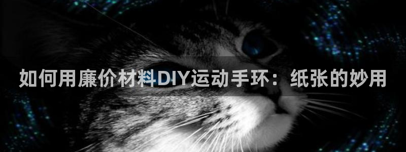 意昂3娱乐首页官网下载：如何用廉价材料DIY运动手环