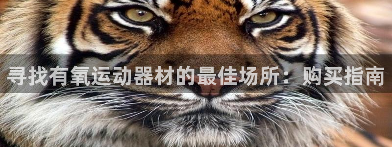 意昂体育3平台是正规平台吗知乎：寻找有氧运动器材的最