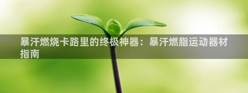 意昂3官网：暴汗燃烧卡路里的终极神器：暴汗燃脂运动器