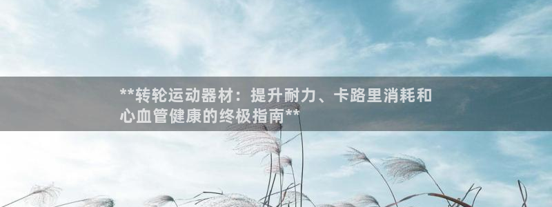 意昂3集团官网首页：**转轮运动器材：提升耐力、卡路