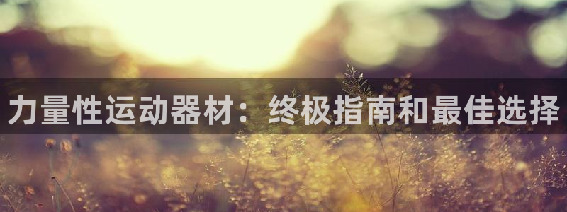 意昂体育3平台是正规平台吗安全吗：力量性运动器材：终