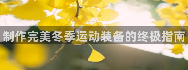 意昂体育3平台APP：制作完美冬季运动装备的终极指南