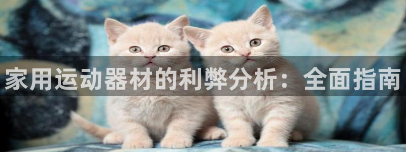 意昂体育3平台：家用运动器材的利弊分析：全面指南