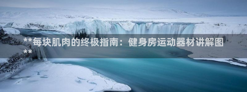 意昂体育3娱乐：**每块肌肉的终极指南：健身房运动器