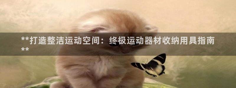 意昂体育3招商电话是多少：**打造整洁运动空间：终极