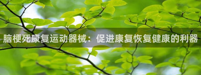 意昂3新能源：脑梗死康复运动器械：促进康复恢复健康的