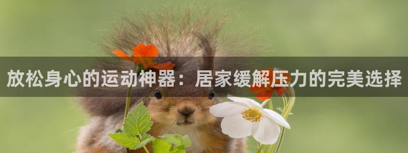 意昂集团官网：放松身心的运动神器：居家缓解压力的完美