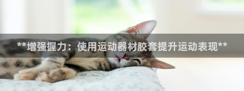 德国意昂3集团：**增强握力：使用运动器材胶套提升运