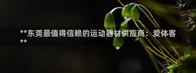 意昂3集团官网首页：**东莞最值得信赖的运动器材供应