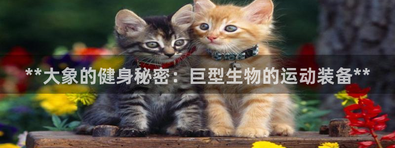 意昂体育3招商电话地址：**大象的健身秘密：巨型生物