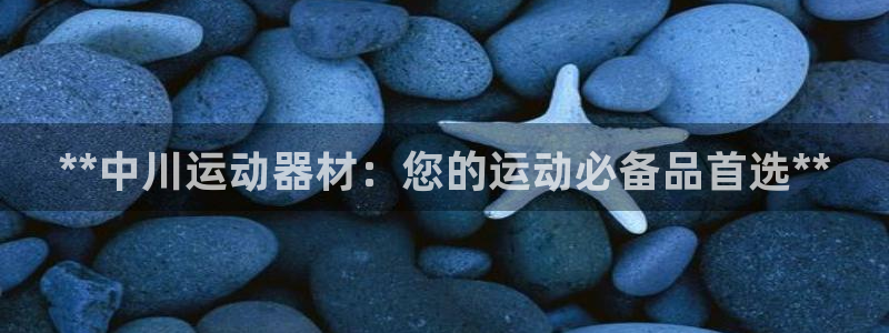 意昂3新能源：**中川运动器材：您的运动必备品首选*