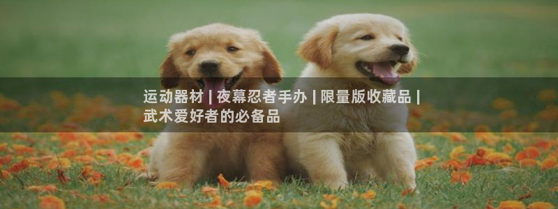 意昂体育3招商电话： 运动器材 | 夜幕忍者手办 |