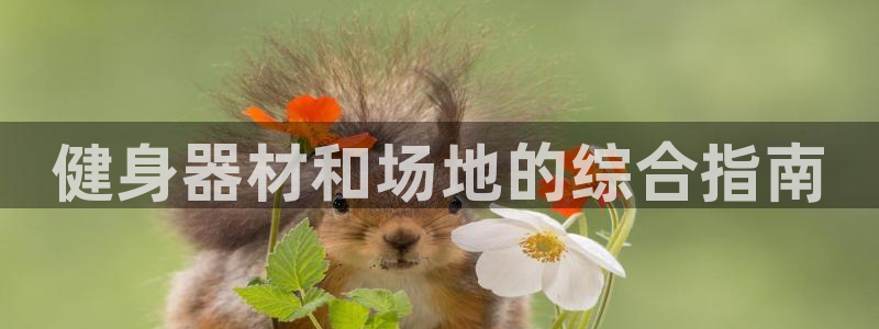 意昂3娱乐下载：健身器材和场地的综合指南