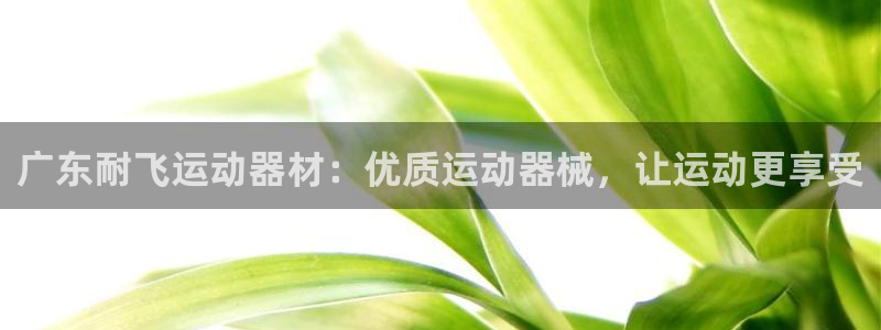 意昂3集团官网首页：广东耐飞运动器材：优质运动器械，