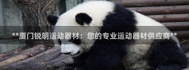 意昂体育3娱乐：**厦门锐明运动器材：您的专业运动器