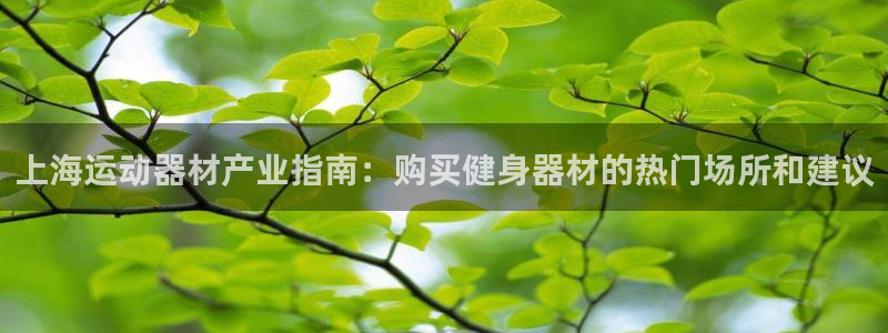 意昂体育3招商电话是多少啊：上海运动器材产业指南：购