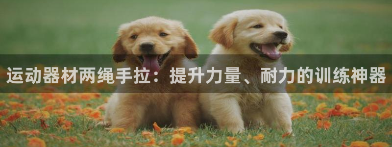 意昂3代理：运动器材两绳手拉：提升力量、耐力的训练神