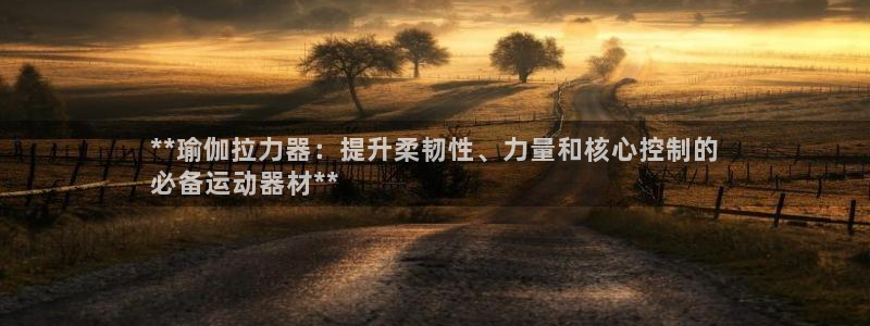 意昂体育3平台是正规平台吗知乎：**瑜伽拉力器：提升