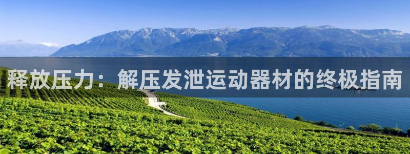 意昂体育3招商电话：释放压力：解压发泄运动器材的终极