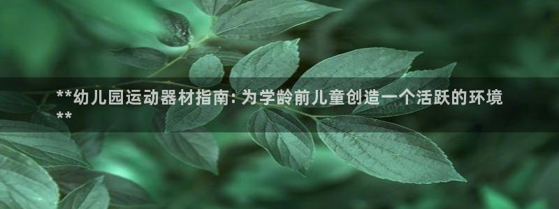 意昂体育3招商电话号码是多少号：**幼儿园运动器材指