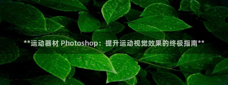 意昂体育3招商：**运动器材 Photoshop：提