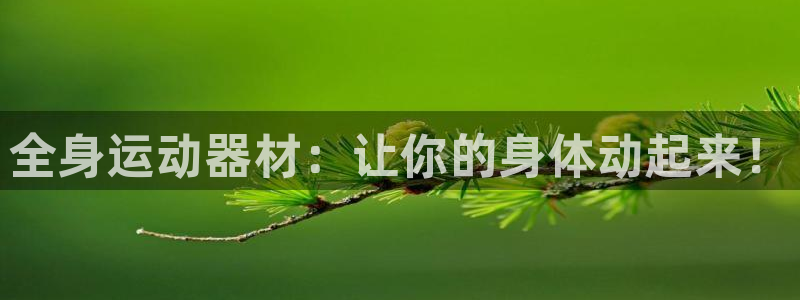 意昂体育3招商电话：全身运动器材：让你的身体动起来！