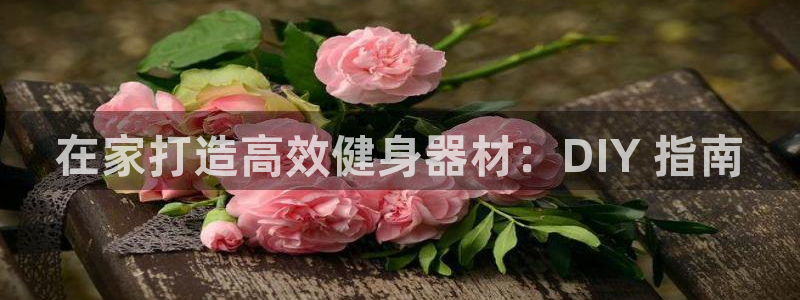 德国意昂3集团：在家打造高效健身器材：DIY 指南
