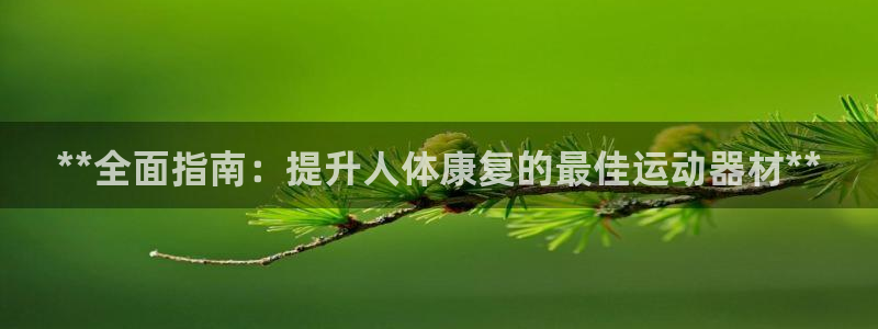 意昂3官网：**全面指南：提升人体康复的最佳运动器材