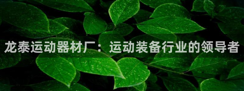 意昂3开户：龙泰运动器材厂：运动装备行业的领导者