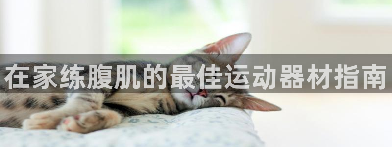 意昂3官方：在家练腹肌的最佳运动器材指南