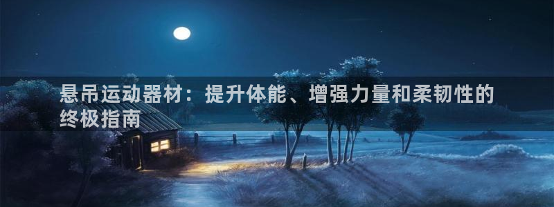 海南意昂体育3发展怎么样：悬吊运动器材：提升体能、增