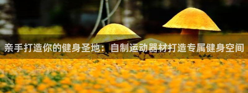 意昂体育3官方客服电话：亲手打造你的健身圣地：自制运