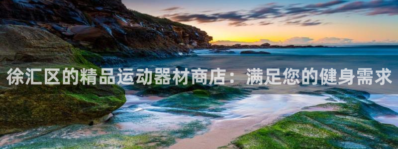 意昂3娱乐代理怎么样：徐汇区的精品运动器材商店：满足