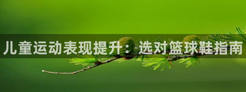 意昂体育3招商：儿童运动表现提升：选对篮球鞋指南