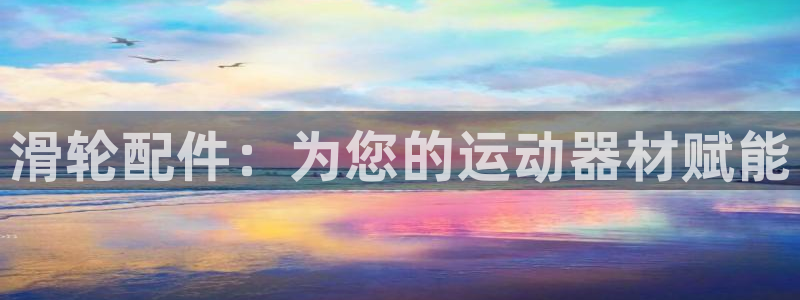 意昂体育3是干嘛的公司：滑轮配件：为您的运动器材赋能