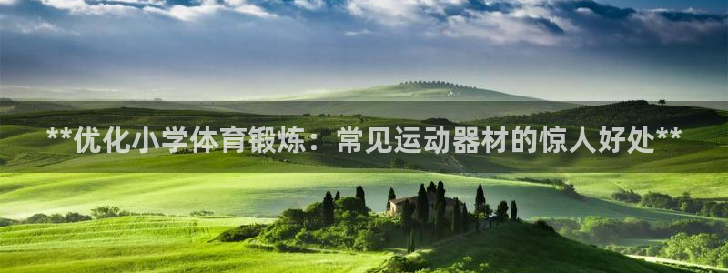 意昂体育3平台是正规平台吗：**优化小学体育锻炼：常