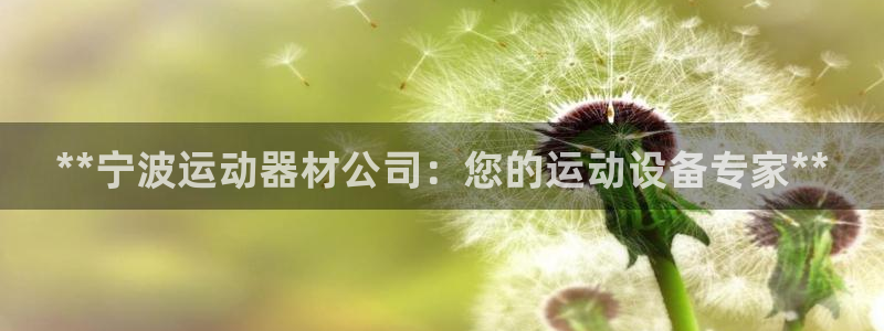 德国意昂3集团：**宁波运动器材公司：您的运动设备专