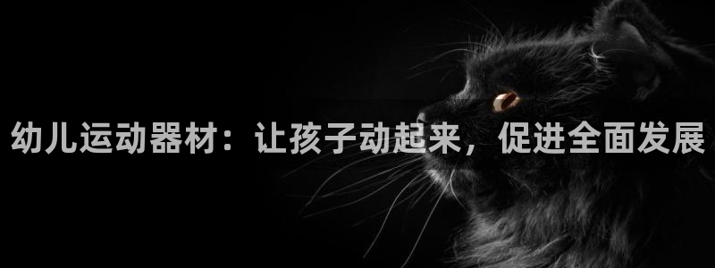 意昂3集团：幼儿运动器材：让孩子动起来，促进全面发展