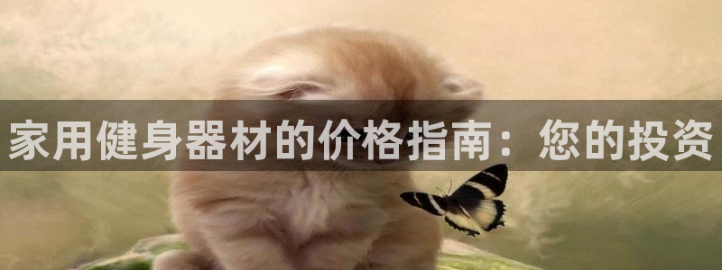 海南意昂体育3发展怎么样：家用健身器材的价格指南：您