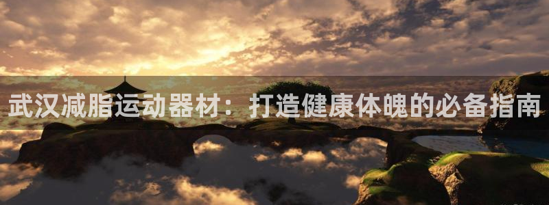 意昂3代理：武汉减脂运动器材：打造健康体魄的必备指南