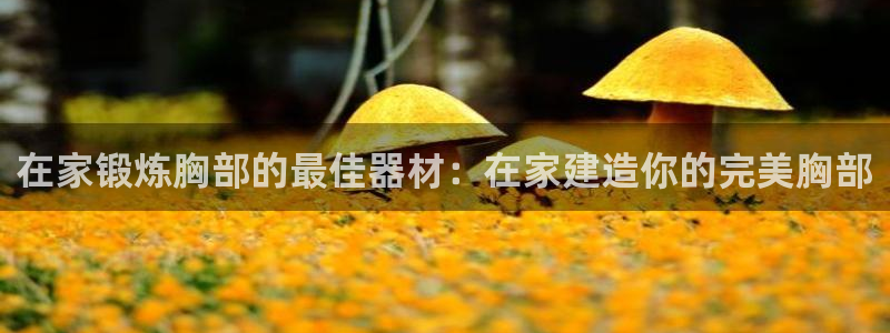 意昂体育3招商电话号码是多少号：在家锻炼胸部的最佳器