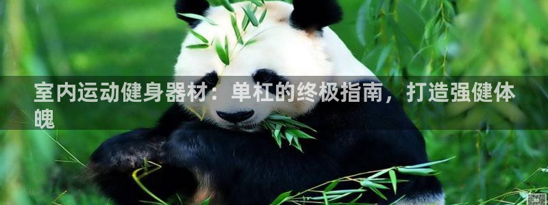 意昂体育3平台是正规平台吗安全吗：室内运动健身器材：
