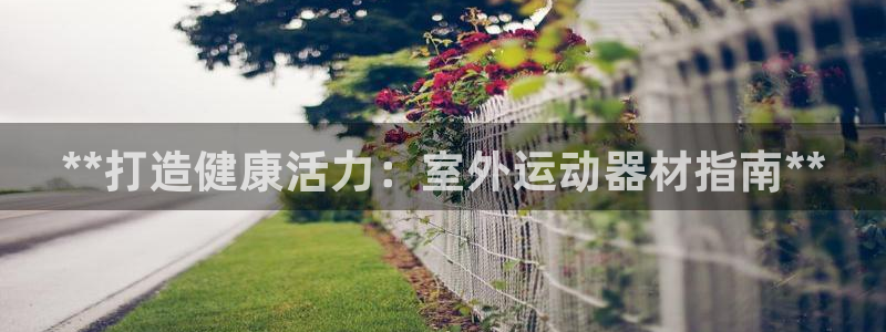 意昂体育3开户：**打造健康活力：室外运动器材指南*
