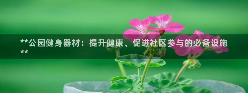 意昂体育3招商电话地址是多少：**公园健身器材：提升