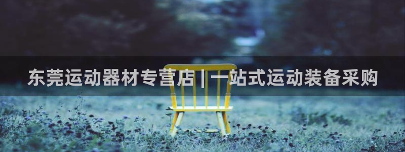 意昂体育3软件：东莞运动器材专营店 | 一站式运动装