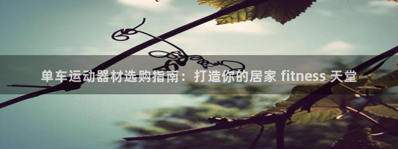 意昂3神州：单车运动器材选购指南：打造你的居家 fi