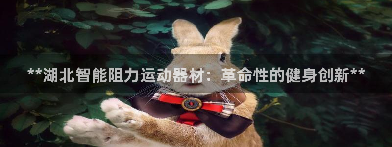 意昂3官方：**湖北智能阻力运动器材：革命性的健身创