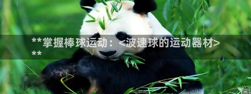 意昂3娱乐下载：**掌握棒球运动：<波速球的运动器材
